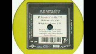 Santañy - Feel the Vibrations (Framic remix)
