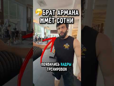😳брат Царукяна бьёт все рекорды.. #ufc #царукян #махачев