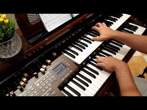 Hino 79: Bom é estarmos nós aqui |CCB| Tokai MD-750 GOLD