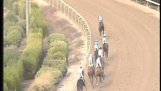 Download lagu 17 Nov 2013 Race 04 Meet90 The GBI CYPRUS DERBY 2013 mp3