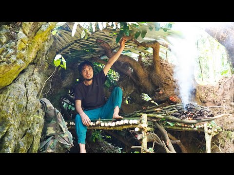 From a Fallen Tree Stump Into A Great Shelter, Set Lots Of Traps Around The Area