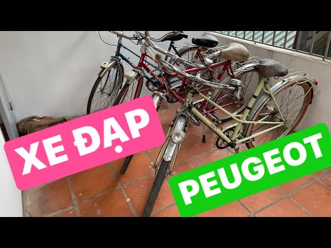 LÔ XE ĐẠP PEUGEOT cổ của PHÁP - ZIN TÂY NGUYÊN BẢN 100%
