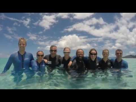 Ichorcoal playing in Airlie Beach