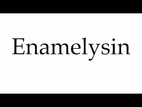 How to Pronounce Enamelysin