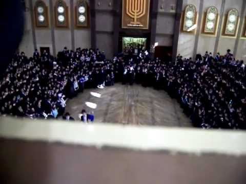 Bobover rebbe schlaf (48) hachnesas sefer torah March 18 2012 (2d clip)