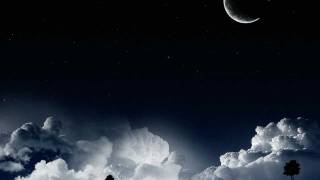 Si tu quieres - Elefante