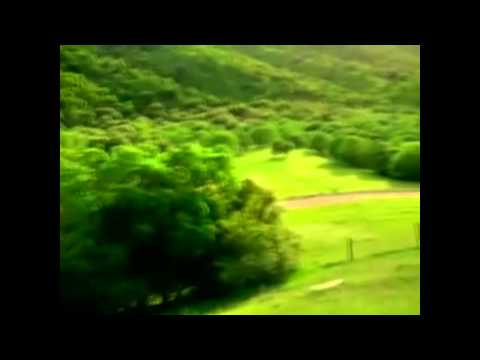 vidéo qui fait peur (screamer)