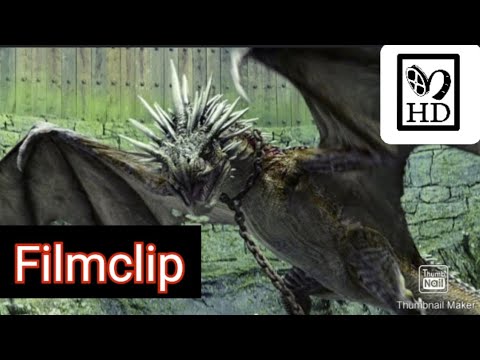Der Ungarische Hornschwanz - Harry Potter und der Feuerkelch (2005) | FilmClip