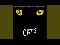 Grizabella: The Glamour Cat / Memory (Medley)