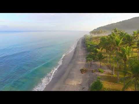 Flying Through Palm Trees Along Beach | beach drone video | 4K Video Free to use