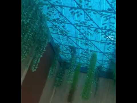 Thi Công Quán Cafe