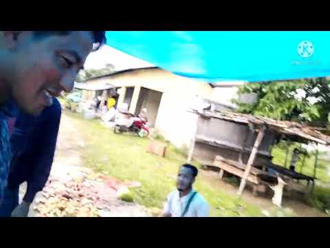 Bojart jolise jui 13/4/2022