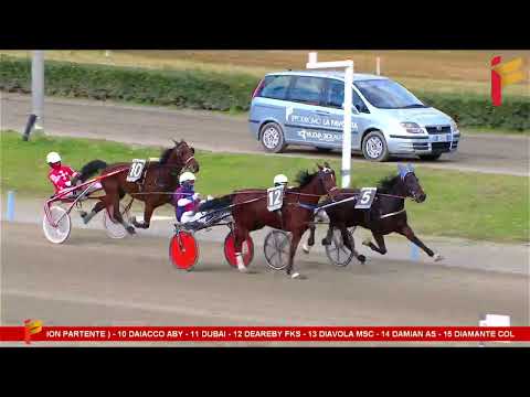 V corsa del 28 gennaio 2023 - 4 Anni - Metri 1600