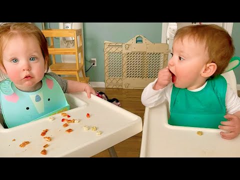 Twins Are Twice As Fun! | Cutest Funny Twin Moments
