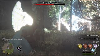 #65 Hogwarts Legacy - Troll Control