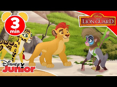The LionGuard | L'isola del drago - Disney Junior Italia