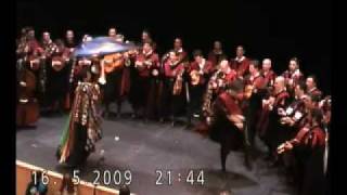 Tuna Biologia 2009 -Certamen Sevilla- El calor del amor en un bar