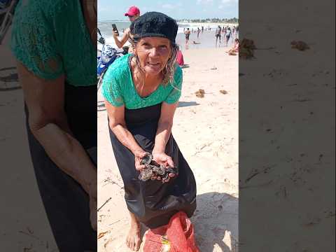 a Senhora que vende ostras na Baia da Traição-PB