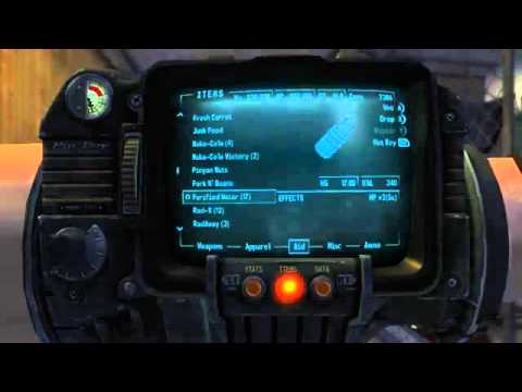 Return to Fallout New Vegas Walkthrough with Commentary Part 55   Crash Ahoy