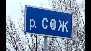Ссылка