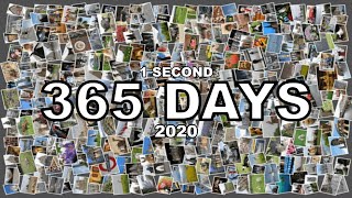 I RECORDED ONE SECOND OF EVERYDAY IN 2020 | Jasmine M