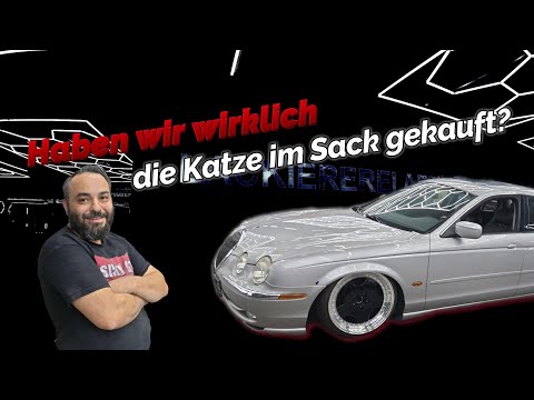 We really bought a pig in a poke