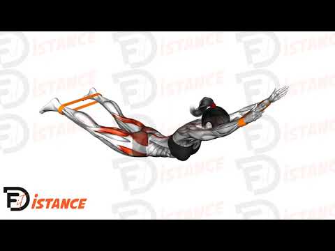 Exercice Hyperextensions au sol avec élastique