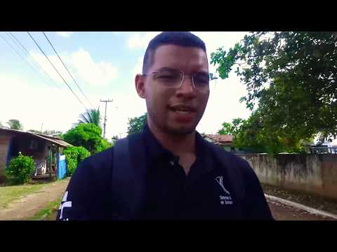 Fernando de Noronha 💕🐬