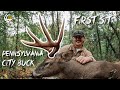 PENNSYLVANIA CITY BUCK WITH THE BOW The Story Of Homeboy