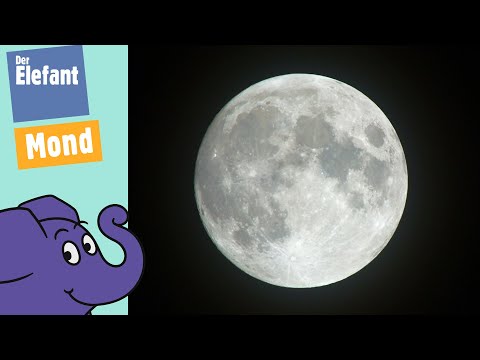 Der Mond - Warum ist er manchmal als Halbmond oder als Vollmond zu sehen? | Der Elefant | WDR