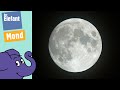 Der Mond Warum Ist Er Manchmal Als Halbmond Oder Als Vollmond Zu Sehen Der Elefant  WDR