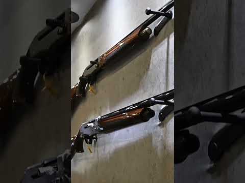 Speed Shooting the Tristar Setter