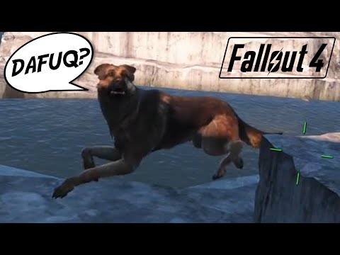 Fallout 4 - Funny Moments & Glitches Montage Ep.1 (Flying Dog, Drunk Preston & More!)