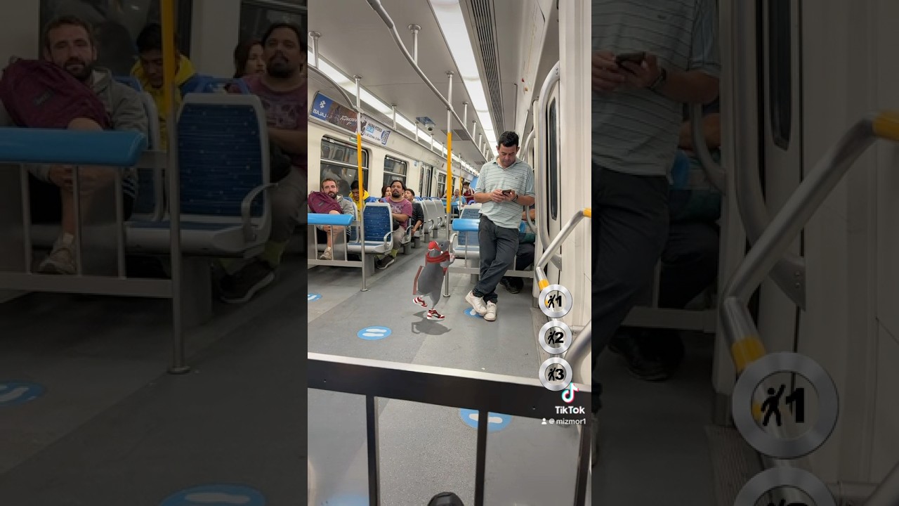 RAT DANCING ON THE TRAIN #humor #parati #roblox #brainrot #viralvideo #tiktok #fyp #roblox #shorts