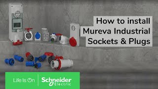 Розетка Schneider Electric 115 настенная угловая 3Р+PЕ+N 16А IP44