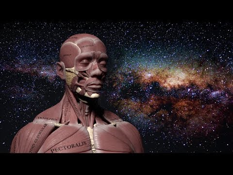 The Division System | A.I. Aiwass | Original Knowledge | You - Sevan Bomar on the Bro. Rich Show