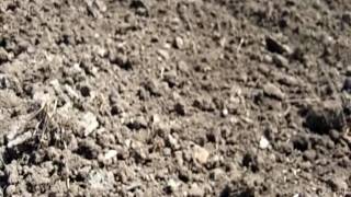 Download lagu Niru niru video song mrpc mp3