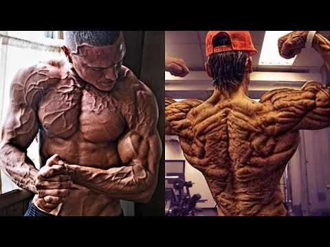 Top 5 Most Shredded/Ripped Bodybuilders Ever