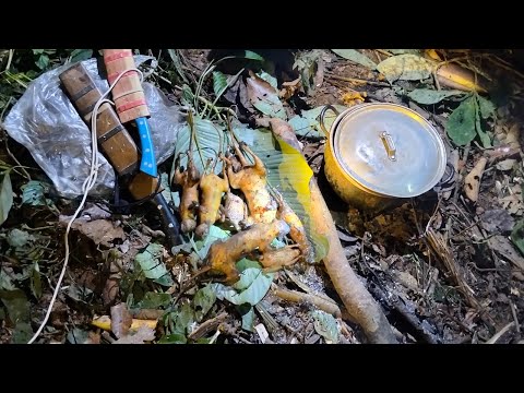 Yos hav zoov tua Nas tua noog noj ntses lom zem tiag tiag 