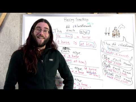 Having Something in Scottish Gaelic
