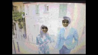 Lenny Supera - Belles Of Paris (BEACH BOYS MIU Cover - Tear Caker Remix 2024!)