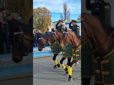 Gendarmería en el desfile del 25 de Mayo en Río Mayo Chubut