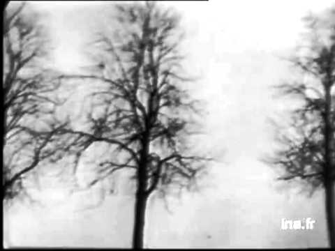 Il N'y A Pas D'amour Heureux (Michèle Arnaud, live)