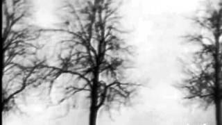 Il N'y A Pas D'amour Heureux (Michèle Arnaud, live)