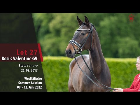 Sommer-Auktion Lot 27 Rosi's Valentine GV Stute v. Rosandro - Vitalis