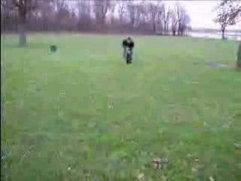 'hier komen' oefenen