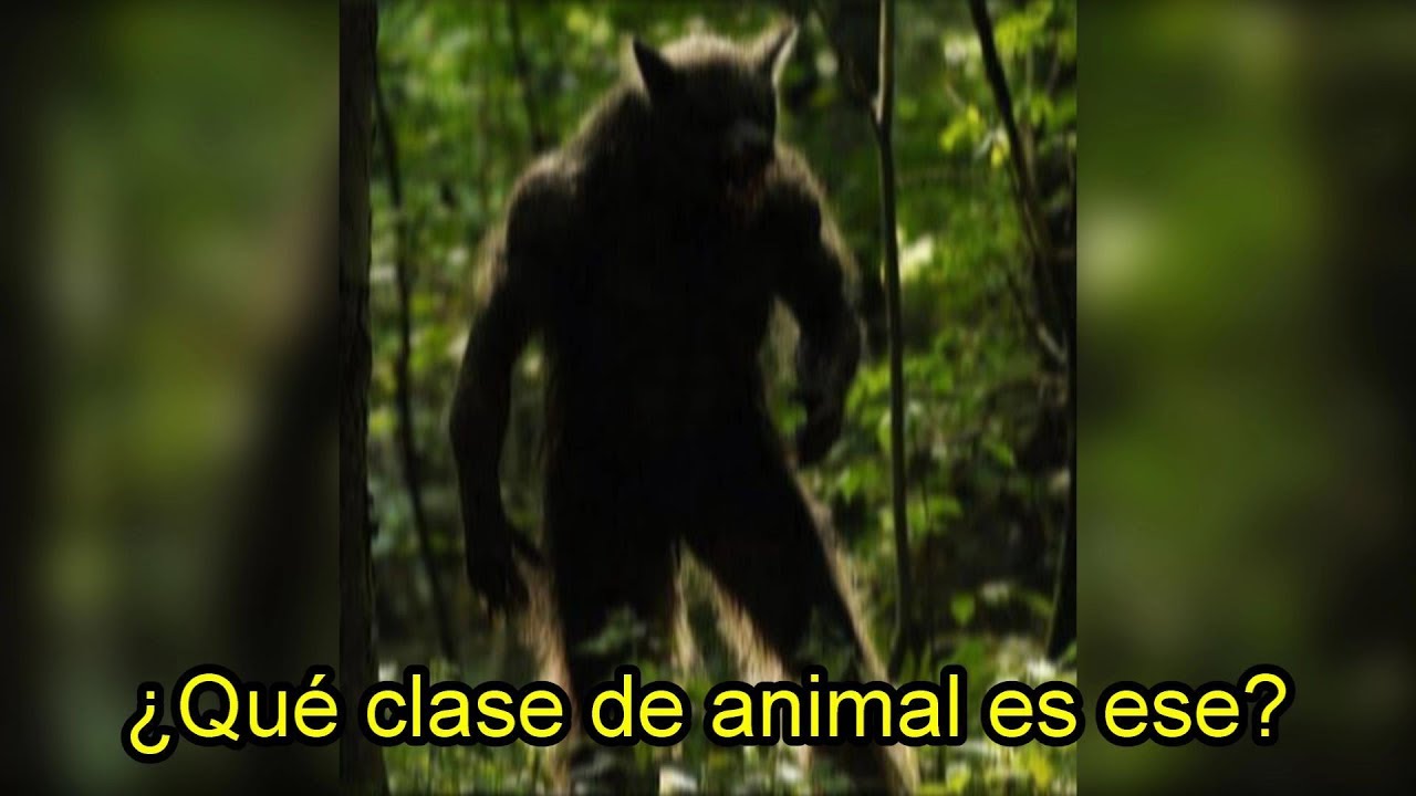 Hs0XEBO1W6s/default.jpg