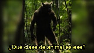 Hs0XEBO1W6s/default.jpg