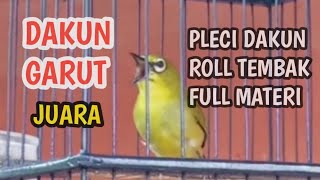 Download lagu Pleci Dakun Roll Tembak Pleci Juara Dakun Garut mp3