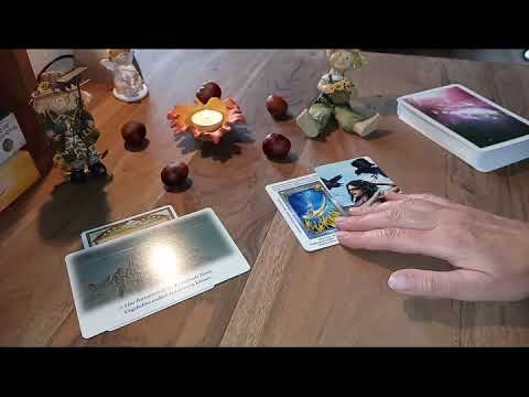 Was steht an in der Liebe und Allgemein? ~  Kurzreading